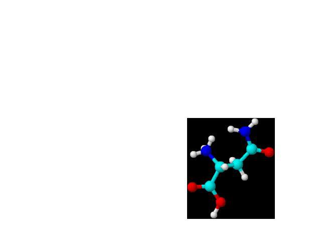 Аминокислоты. -это органические вещества, которые обладают одновременно кислотными и основными свойствами, так как содержат амин- и карбоксильную группы.