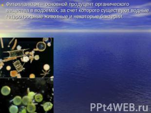 Фитопланктон – основной продуцент органического вещества в водоемах, за счет кот