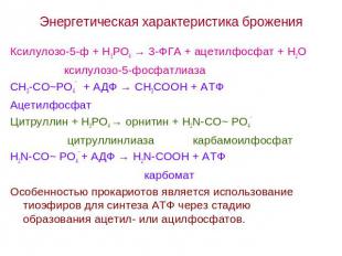 Энергетическая характеристика брожения Ксилулозо-5-ф + Н3РО4 → 3-ФГА + ацетилфос
