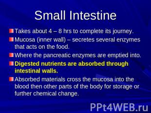 Small Intestine Takes about 4 – 8 hrs to complete its journey.Mucosa (inner wall
