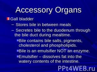 Accessory Organs Gall bladder Stores bile in between meals Secretes bile to the