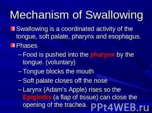 Mechanism of Swallowing Swallowing is a coordinated activity of the tongue, soft