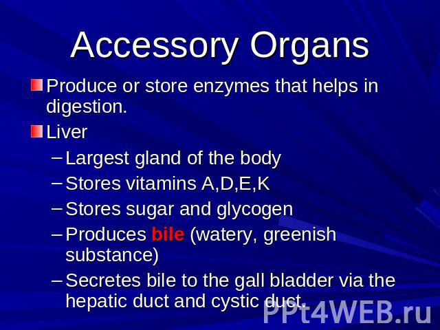 Accessory Organs Produce or store enzymes that helps in digestion. Liver Largest gland of the bodyStores vitamins A,D,E,K Stores sugar and glycogenProduces bile (watery, greenish substance) Secretes bile to the gall bladder via the hepatic duct and …