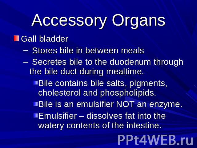 Accessory Organs Gall bladder Stores bile in between meals Secretes bile to the duodenum through the bile duct during mealtime. Bile contains bile salts, pigments, cholesterol and phospholipids.Bile is an emulsifier NOT an enzyme.Emulsifier – dissol…