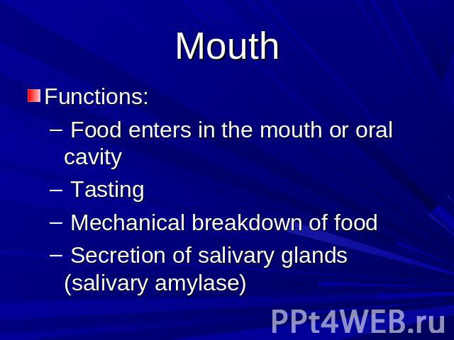 Mouth Functions: Food enters in the mouth or oral cavity Tasting Mechanical breakdown of food Secretion of salivary glands (salivary amylase)
