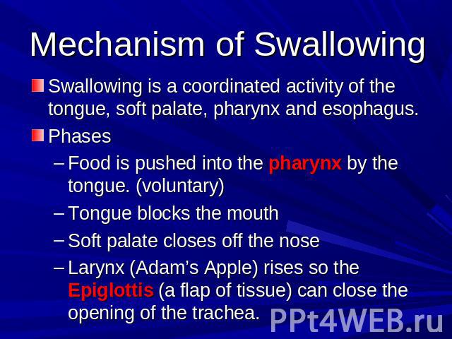 Mechanism of Swallowing Swallowing is a coordinated activity of the tongue, soft palate, pharynx and esophagus.PhasesFood is pushed into the pharynx by the tongue. (voluntary) Tongue blocks the mouthSoft palate closes off the noseLarynx (Adam’s Appl…