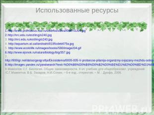 Использованные ресурсыhttp://www.prometeus.nsc.ru/science/sibvar/060701/04.jpght