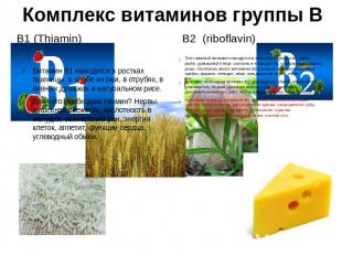 Комплекс витаминов группы В В1 (Thiamin)Витамин В1 находится в ростках пшеницы,