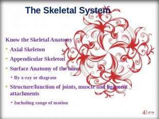 The Skeletal System Know the Skeletal AnatomyAxial SkeletonAppendicular Skeleton
