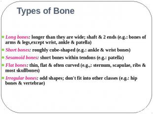 Types of Bone Long bones: longer than they are wide; shaft & 2 ends (e.g.: bones