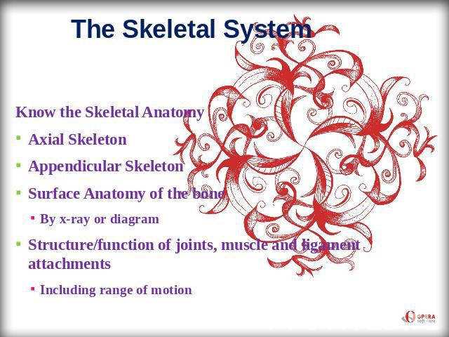 The Skeletal System Know the Skeletal AnatomyAxial SkeletonAppendicular SkeletonSurface Anatomy of the boneBy x-ray or diagramStructure/function of joints, muscle and ligament attachments Including range of motion