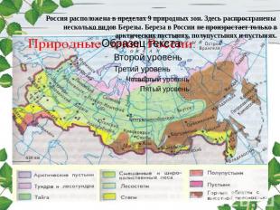 Россия расположена в пределах 9 природных зон. Здесь распространены несколько ви