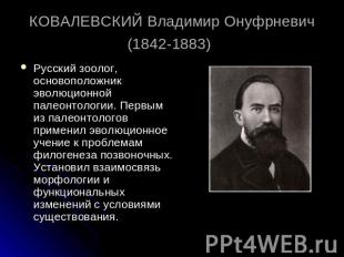 КОВАЛЕВСКИЙ Владимир Онуфрневич (1842-1883) Русский зоолог, основоположник эволю