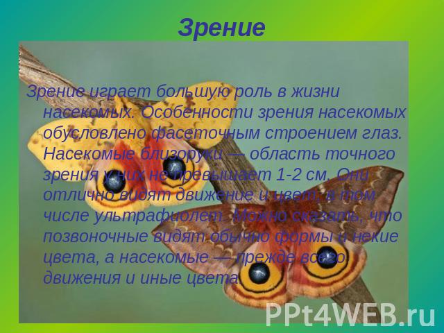 ЗрениеЗрение играет большую роль в жизни насекомых. Особенности зрения насекомых обусловлено фасеточным строением глаз. Насекомые близоруки — область точного зрения у них не превышает 1-2 см. Они отлично видят движение и цвет, в том числе ультрафиол…