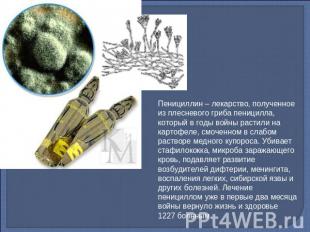 Пенициллин – лекарство, полученное из плесневого гриба пеницилла, который в годы
