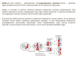 Мейоз (от греч. meiosis — уменьшение) или редукционное деление клетки — деление