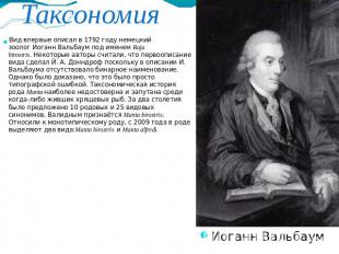 ТаксономияВид впервые описал в 1792 году немецкий зоолог Иоганн Вальбаум под име