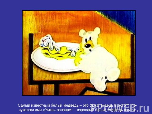 Самый известный белый медведь – это Умка, знаешь такого?)) по-чукотски имя «Умка» означает – взрослый белый медведь-самец.