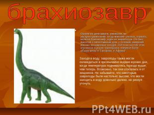 брахиозаврОдним из динозавров, умевшим, по распространенному тогда мнению ученых