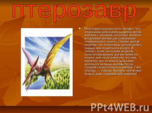 птерозаврНекоторые палеонтологи считают, что птерозавры небольших размеров могли