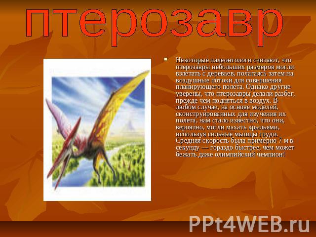 птерозаврНекоторые палеонтологи считают, что птерозавры небольших размеров могли взлетать с деревьев, полагаясь затем на воздушные потоки для совершения планирующего полета. Однако другие уверены, что птерозавры делали разбег, прежде чем подняться в…