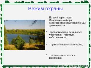Режим охраны На всей территории Ичалковского бора запрещаются следующие виды дея