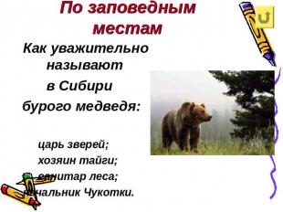По заповедным местам Как уважительно называют в Сибири бурого медведя: царь звер