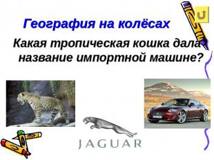 География на колёсахКакая тропическая кошка дала название импортной машине?