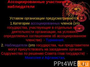 Ассоциированные участники и наблюдателиУставом организации предусматриваются :1.