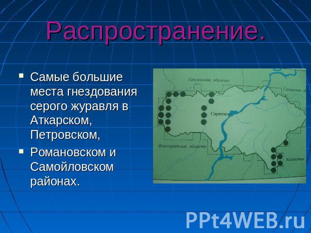 Распространение.Самые большие места гнездования серого журавля в Аткарском, Петровском, Романовском и Самойловском районах.