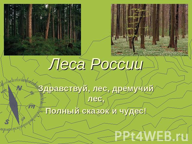 Леса РоссииЗдравствуй, лес, дремучий лес,Полный сказок и чудес!