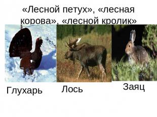 «Лесной петух», «лесная корова», «лесной кролик»