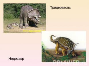 Трицератопс Нодозавр