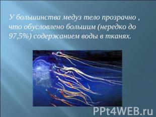 У большинства медуз тело прозрачно , что обусловлено большим (нередко до 97,5%)