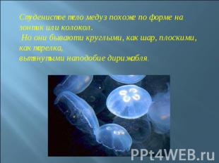 Студенистое тело медуз похоже по форме на зонтик или колокол. Но они бывают и кр