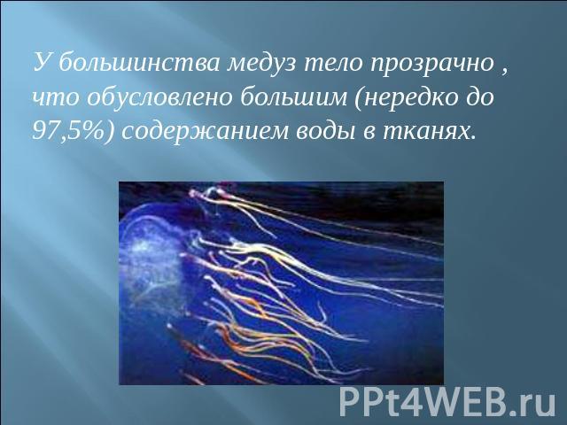 У большинства медуз тело прозрачно , что обусловлено большим (нередко до 97,5%) содержанием воды в тканях.