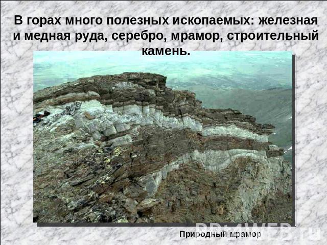 В горах много полезных ископаемых: железная и медная руда, серебро, мрамор, строительный камень.