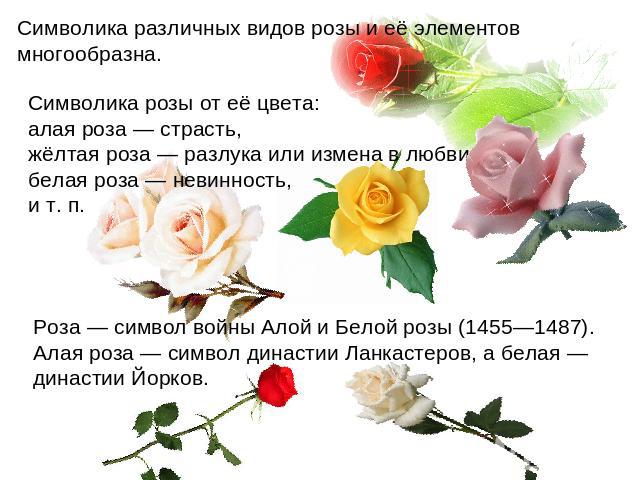 Символика различных видов розы и её элементов многообразна. Символика розы от её цвета: алая роза — страсть, жёлтая роза — разлука или измена в любви, белая роза — невинность, и т. п.Роза — символ войны Алой и Белой розы (1455—1487).Алая роза — симв…