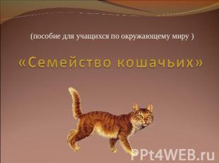 (пособие для учащихся по окружающему миру ) «Семейство кошачьих»