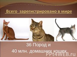 Всего зарегистрировано в мире 36 Пород и 40 млн. домашних кошек