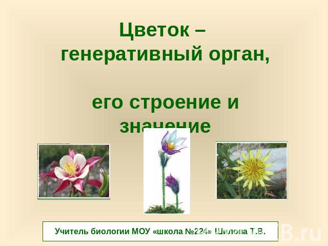 Цветок – генеративный орган, его строение и значение Учитель биологии МОУ «школа №224» Шилова Т.В.