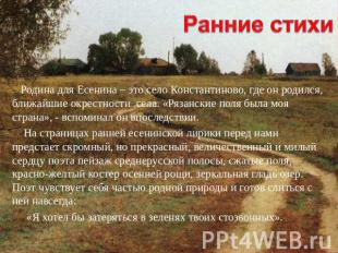 Родина для Есенина – это село Константиново, где он родился, ближайшие окрестнос