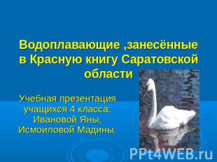 Водоплавающие ,занесённые в Красную книгу Саратовской области Учебная презентаци