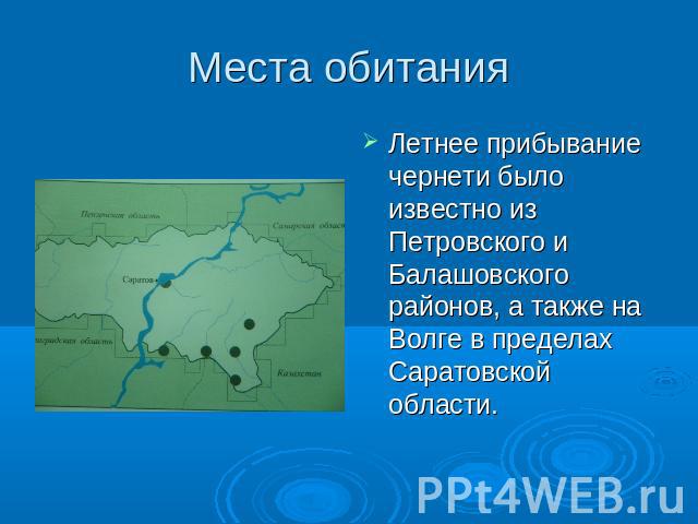 Места обитания Летнее прибывание чернети было известно из Петровского и Балашовского районов, а также на Волге в пределах Саратовской области.
