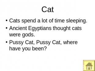 Cat Cats spend a lot of time sleeping.Ancient Egyptians thought cats were gods.P