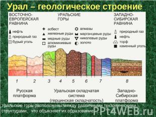 Урал – геологическое строение Уральские горы расположены между различными тектон