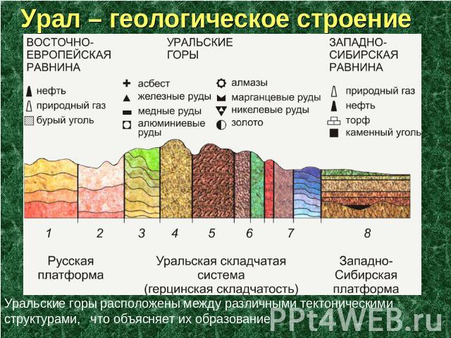 Урал – геологическое строение Уральские горы расположены между различными тектоническими структурами, что объясняет их образование