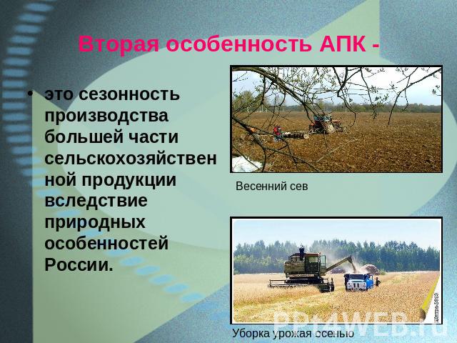 Вторая особенность АПК - это сезонность производства большей части сельскохозяйственной продукции вследствие природных особенностей России.