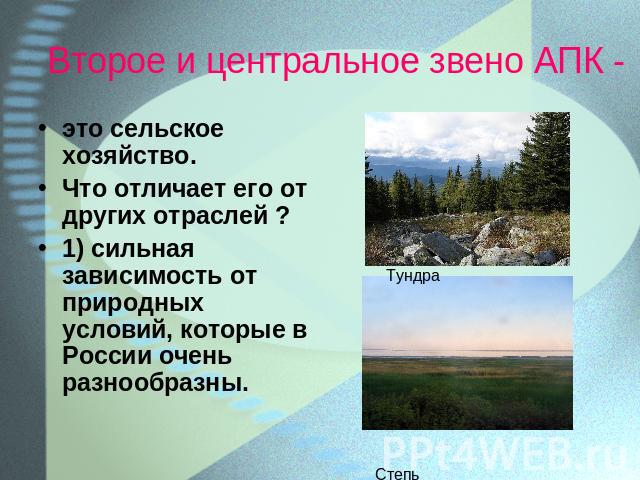Второе и центральное звено АПК -сии очень разнообразны. это сельское хозяйство.Что отличает его от других отраслей ?1) сильная зависимость от природных условий, которые в России очень разнообразны.