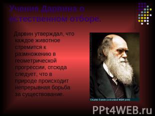 Учение Дарвина о естественном отборе. Дарвин утверждал, что каждое животное стре